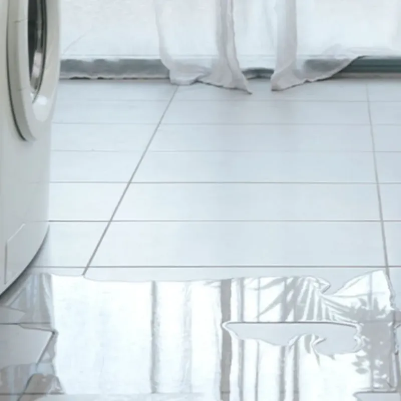 Appliance Leak Cleanup in Lake Arthur, LA
