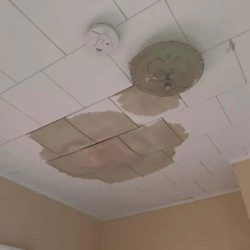Ceiling Water Damage Repair in Lake Arthur, LA